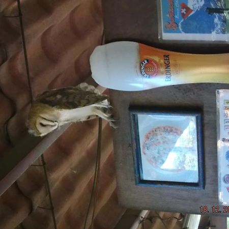 Charlys-Bungalows Margaritas Bagian luar foto